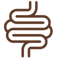Gut Health*