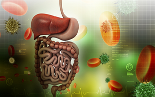 ✓ Supports digestive wellness*