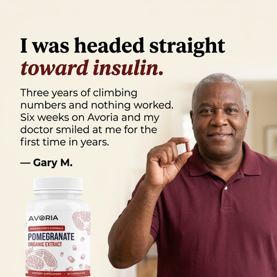 Fermented Pomegranate Extract Capsules
