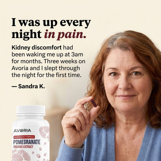 Fermented Pomegranate Extract Capsules