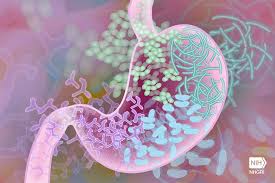 ✓ Helps support gut balance*